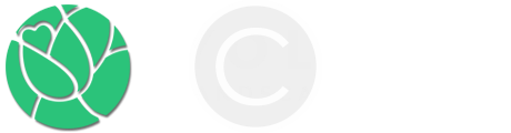 logo_yoland2.png