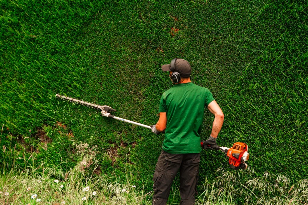 Comment entretenir son jardin au fil des saisons ?